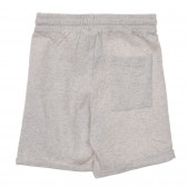 Pantaloni scurți din bumbac cu imprimeu palmier, culoare gri Benetton 232903 3