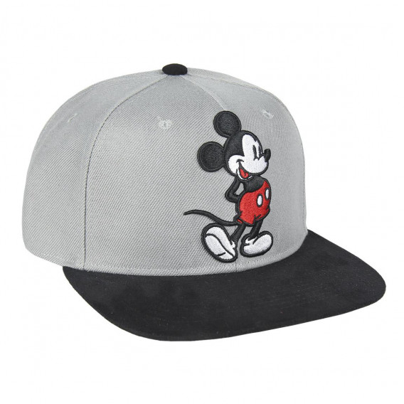 Șapcă Mickey Mouse, gri Minnie Mouse 232992 