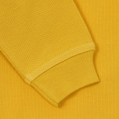 Bluză din bumbac cu mâneci lungi și guler pentru bebeluș, galben Benetton 234108 3