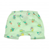 Pantaloni scurți din bumbac cu imprimeu pentru bebeluș, de culoare mentă Benetton 234261 4