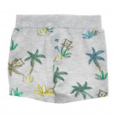 Pantaloni scurți din bumbac cu imprimeu floral pentru bebeluș, gri Benetton 234278 4