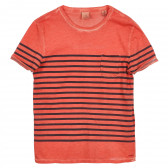 Tricou din bumbac pentru băieți, portocaliu cu dungi negre Scotch Shrunk 236343 