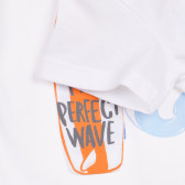 Tricou din bumbac cu imprimeu de rechin pentru bebeluș, alb Benetton 236357 3