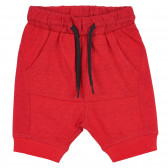 Pantaloni scurți din bumbac pentru bebeluș, roșii Idexe 239278 