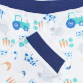 Pantaloni din bumbac cu imprimeu grafic pentru bebeluși, albi Idexe 239523 3