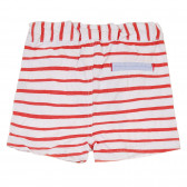 Pantaloni scurți din bumbac pentru bebeluș, în dungi alb-roșii Idexe 239590 4