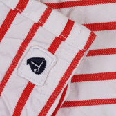 Pantaloni scurți din bumbac pentru bebeluș, în dungi alb-roșii Idexe 239591 3