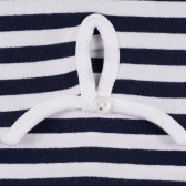 Bluză din bumbac cu volane pentru bebeluș, în dungi alb-albastre Idexe 239677 3