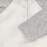 Bluză de bumbac cu imprimeu, mâneci și guler contrastante Chicco 241304 3