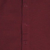 Bluză din bumbac cu mâneci lungi pentru bebeluși, design drăguț, roșie pentru fete KIABI 241406 4