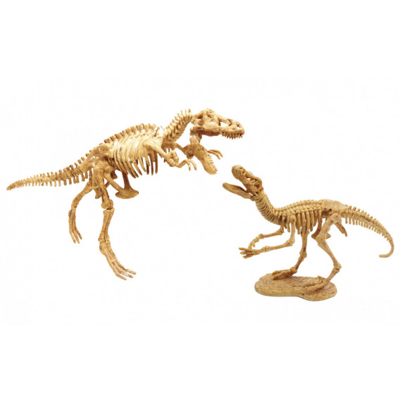 Set Dino 2buc - Tiranozaurus Rex și Velociraptor Buki France 241916 2