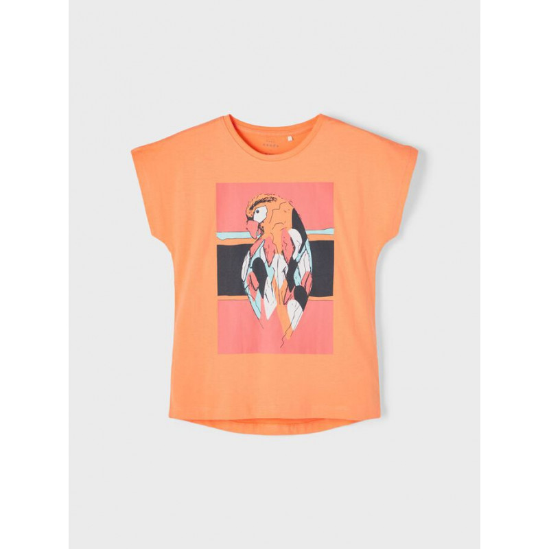 Tricou din bumbac organic cu imprimeu papagal, portocaliu  242387