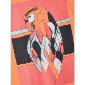 Tricou din bumbac organic cu imprimeu papagal, portocaliu Name it 242389 3