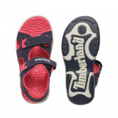 Sandale cu accente roz cu velcro, albastru închis Timberland 243520 3