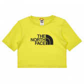 Tricou din bumbac cu logo-ul mărcii, pe verde The North Face 243609 