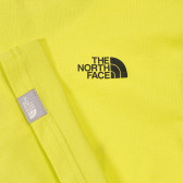 Tricou din bumbac cu logo-ul mărcii, pe verde The North Face 243611 2
