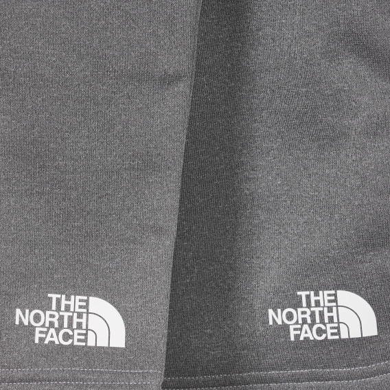 Pantaloni scurți cu sigla mărcii, gri The North Face 243643 3
