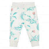 Pantaloni din bumbac cu imprimeu floral pentru bebeluș, de culoare albă Pinokio 244013 2