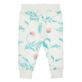 Pantaloni din bumbac cu imprimeu floral pentru bebeluș, de culoare albă Pinokio 244016 5