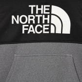 Hanorac cu sigla mărcii, negru și gri The North Face 244185 2