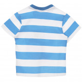 Tricou cu dungi de bumbac în alb și albastru Chicco 248309 4