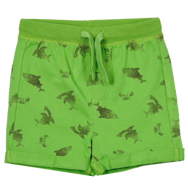 Pantaloni scurți din bumbac cu imprimeu rechin, verde  249215