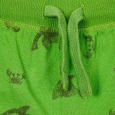 Pantaloni scurți din bumbac cu imprimeu rechin, verde Benetton 249216 2