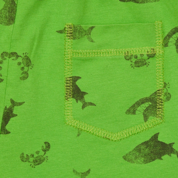 Pantaloni scurți din bumbac cu imprimeu rechin, verde Benetton 249217 3