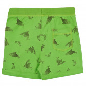 Pantaloni scurți din bumbac cu imprimeu rechin, verde Benetton 249218 4