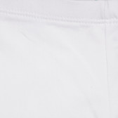 Colanți scurți din bumbac cu logo brodat de marcă, alb Benetton 249247 6