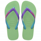 Flip-flops cu numele mărcii, verde Havaianas 250319 2