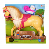 Set de cai cu perie pentru pieptănarea coamei Toi-Toys 250625 