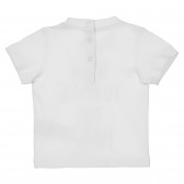 Tricou alb Chicco din bumbac cu inscriptii pentru bebeluși Chicco 251419 4