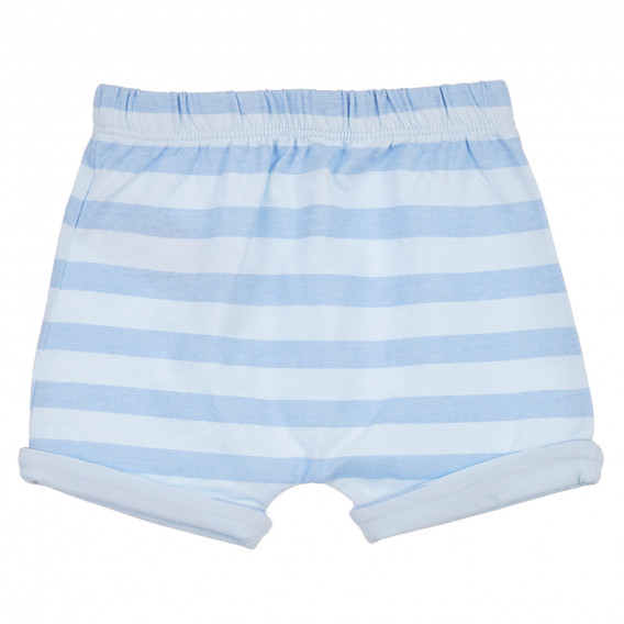 Pijamale din bumbac cu mâneci scurte pentru bebeluș, albastru Chicco 255066 7