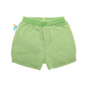 Pantaloni scurți de bumbac pentru copii, cu dungi verzi Boboli 25591 