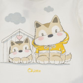 Set de bluză din bumbac cu jambiere pentru un bebeluș în alb și maro Chicco 256136 3