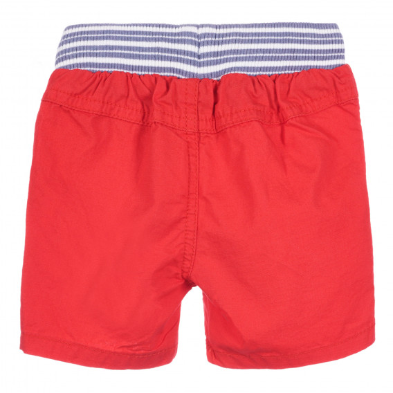 Pantaloni scurți din bumbac pentru bebeluși, în roșu Chicco 258138 4