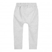 Pantaloni pentru bebeluși din bumbac, de culoare gri Chicco 258160 4
