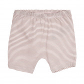 Set tricou și pantaloni din bumbac pentru bebeluși, roz deschis Chicco 258651 6