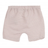 Set tricou și pantaloni din bumbac pentru bebeluși, roz deschis Chicco 258652 7