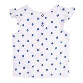 Set de tricouri din bumbac și pantaloni scurți pentru bebeluși, în alb și albastru Chicco 258740 5