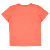 Tricou din bumbac cu imprimeu grafic pentru bebeluș, portocaliu Benetton 260532 4