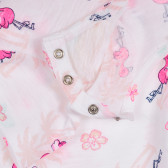 Tricou din bumbac cu imprimeu flamingo pentru bebeluș, alb Benetton 260543 3