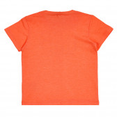 Tricou din bumbac cu numele de marcă pentru bebeluș, portocaliu Benetton 260584 4