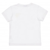 Tricou din bumbac cu imprimeu Shark week pentru bebeluș, alb Benetton 260616 4