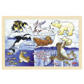 Puzzle - Animale arctice Goki 262810 