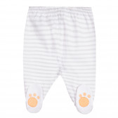 Bluză din bumbac și botine pentru bebeluși în alb și gri Chicco 263606 6