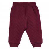 Pantaloni sport din bumbac pentru bebeluși, în roșu Chicco 264115 4