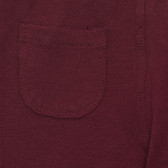 Pantaloni din bumbac cu decor pentru bebeluși, roșu Chicco 265125 3
