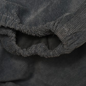 Pantaloni scurți pentru bebeluși din material reiat, albastru Chicco 265755 3